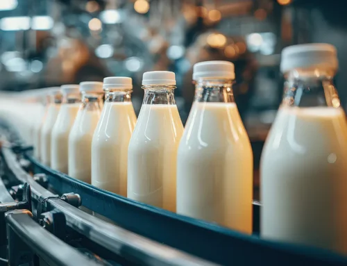 Talent Management & Succession Planning